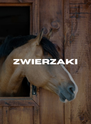 Zwierzaki