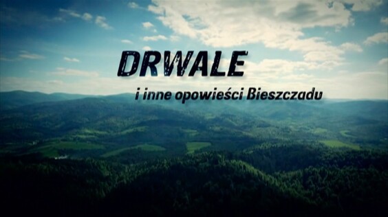 Kadr z materiału: Drwale i inne opowieści Bieszczadu